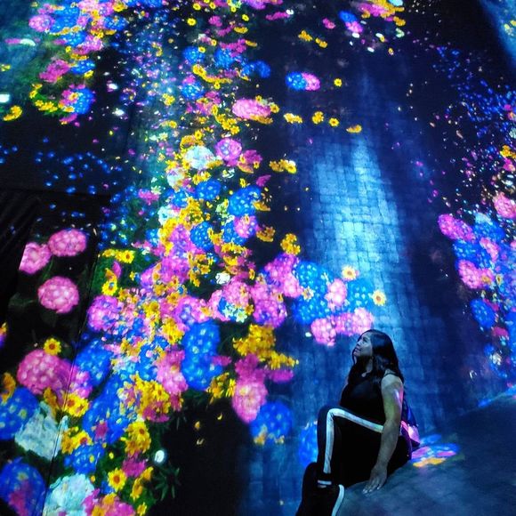 Meet your Posher, Jenny - Picture 1 of 1